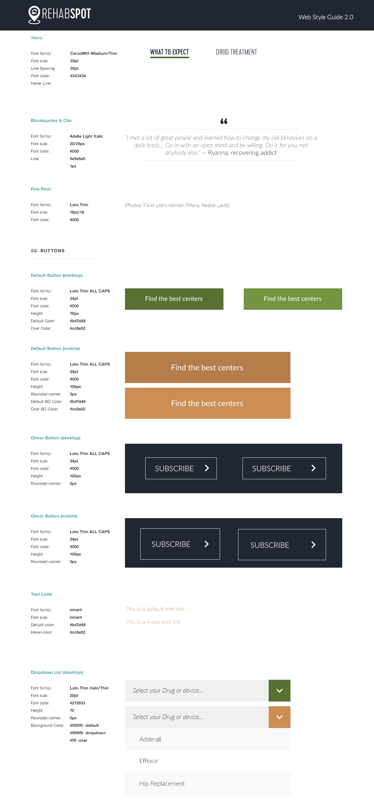 Rehab Spot Styleguide section 2