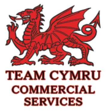 The legacy Team Cymru Commercial Services heraldic logo