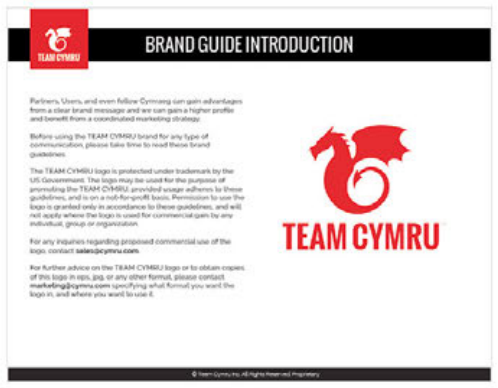 Team Cymru brand guide introduction page