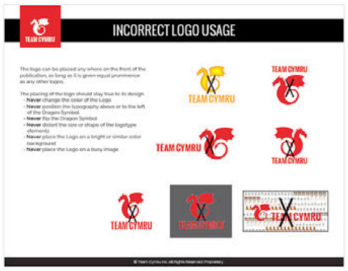 Team Cymru incorrect logo usage page