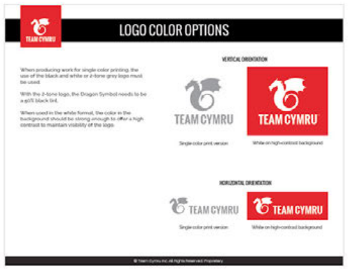 Team Cymru logo color options page