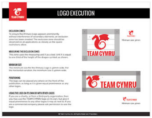 Team Cymru logo execution page