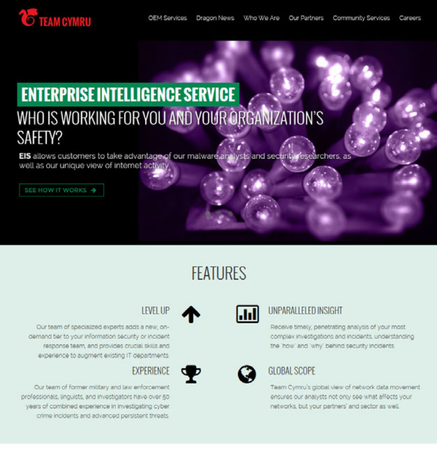 Enterprise Intelligence Service page design
